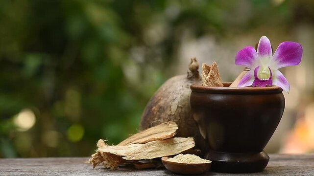 Pueraria mirifica or White kwao krua (Thai name) rhizome dried slices and powder on a natural background