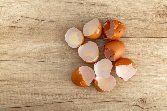 Chicken eggshells placed on a wooden counter in the kitchen, coins and banknotes placed inside the eggs, symbol of success,