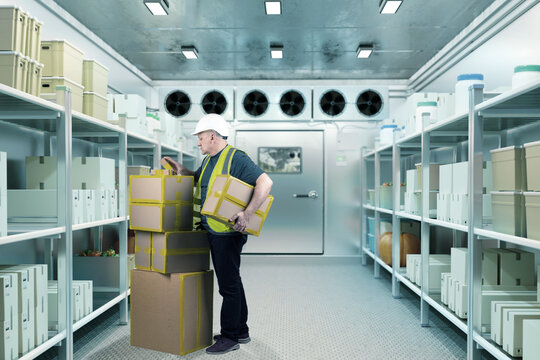 Cold storage operations, warehouse worker stacking boxes inside refrigerated room, handling packaged goods in temperature-controlled facility for food or pharmaceutical storage.