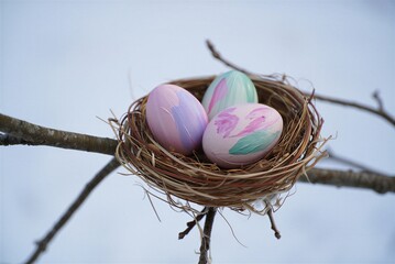 Obraz premium Colorful Easter eggs placed in a nest made of straw resting on a tree branch outdoors during springtime