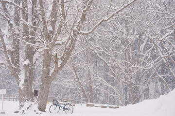 雪が舞い散る冬景色、静寂に包まれた森と一台の自転車
