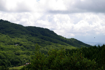 Obraz premium Expansive Green Mountain Forest Under Dramatic Cloudy Sky, Serene Summer Landscape Panorama