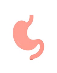 Fototapeta premium A pink stomach illustration on a white background (1)