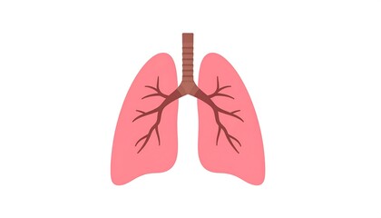 A medical illustration of the human respiratory system