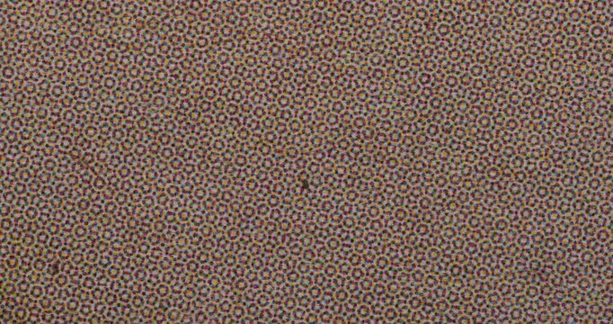 Macro close-up of offset printed paper showing CMYK halftone dot pattern with visible fibers, slight ink misregistration, and noisy grain. Abstract retro print texture backdrop.