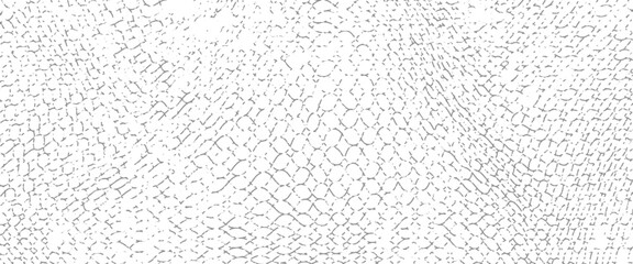 Black snake skin pattern isolated on white background eps 10