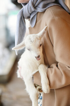 A young woman in a basic coat holds a small goat in her arms. 