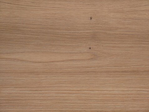 Elegant wood surface. Polished maple wood surface with natural grain perfect for modern product displays