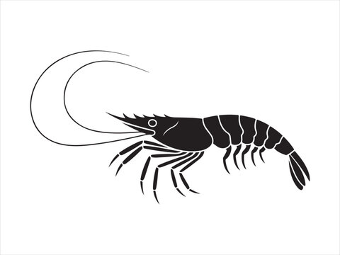 A shrimp silhouette vector icon, Shrimp vector art black and white