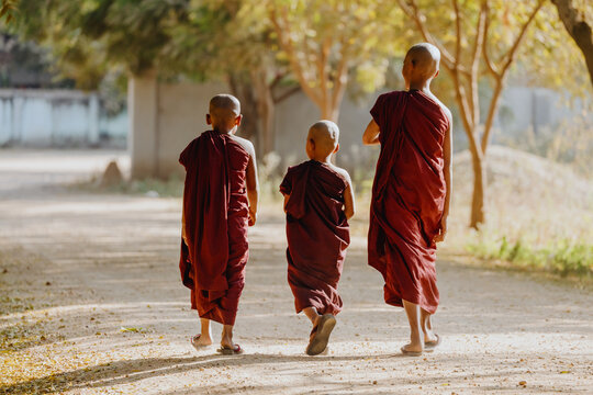 Novice monks walking in the alley