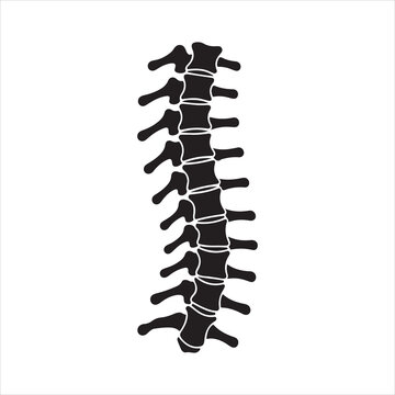 Human spine silhouette icon isolated silhouette illustration. Human Spine Silhouette Icon, Vertebral Column vector Illustration