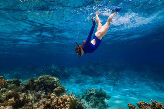 Woman Diving Exploring Caribbean Tropical Coral Reef