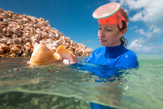 Woman Exploring Piles of Conch Shells in Caribbean