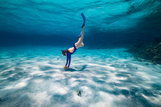 Woman Diving Underwater for Caribbean Conch Anegada BVI