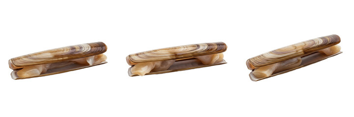 Razor clam isolated on white background, Ensis, marine razor clam, underwater bivalve, soft-bodied marine animal, ocean wildlife photo, clam closeup, ocean ecosystem, marine invertebrate, bivalve macr © dakarid