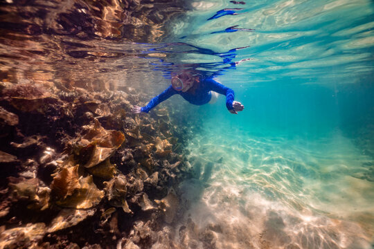 Snorkeling at Conch Seashell Anegada BVI on Caribbean Vacation