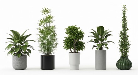Obraz premium Collection of various green potted plants on white background.