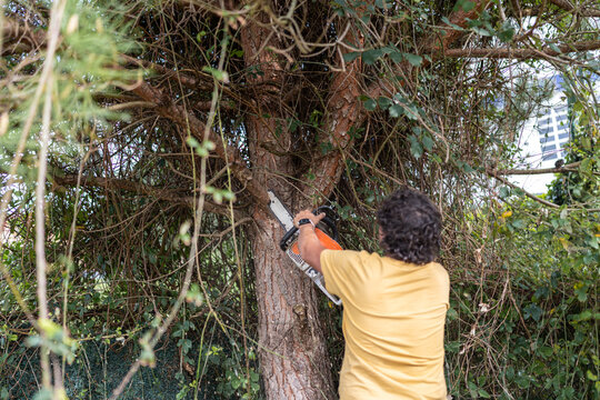 Man cutting tree branch with chainsaw.