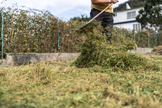 Man cleaning garden with rake.