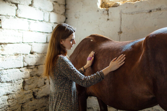 
woman cleaning a horse