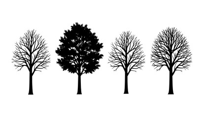 Obraz premium Four Tree Growth Stages Silhouette Vector – Seasonal Change Nature Illustration Set
