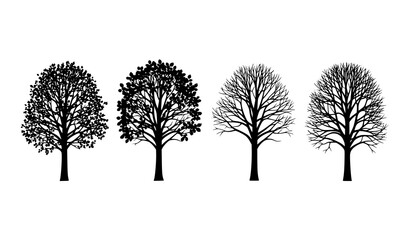 Obraz premium Four Tree Silhouettes Showing Seasonal Transition – Nature and Environmental Concept Vector