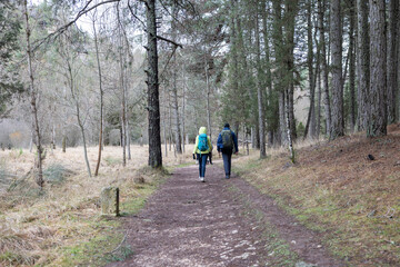 Obraz premium People hiking through a forest path discovering nature