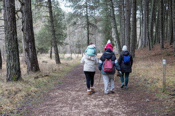 Fototapeta premium Family hiking through a pine forest trail