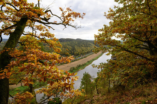 Blick durch die B&auml;ume auf die Elbe