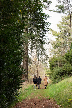 Three women walking on a tree-lined path in autumn in Australia