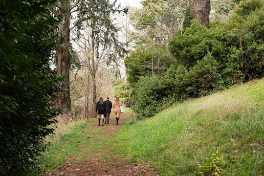 Three women walking on a tree-lined path in autumn in Australia