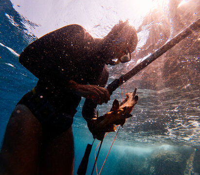 Diver caught a fish with harpoon