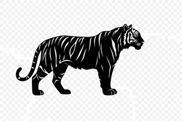 Regal Tiger Silhouette: A majestic tiger stands tall, its powerful form rendered in bold black against a clean backdrop. Capturing its graceful power and striking stripes. © MetaPixel Studio