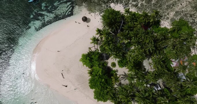 White sand beach lined with palm trees surrounded by clear turquoise sea water on a tropical island. Siargao, Philippines.