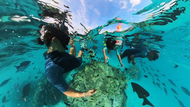 Family swimming with fish in Maldives