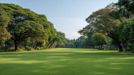 Lush Green Landscape with Tall Trees and Open Lawn Space in Bright Natural Light on a Clear Day in Scenic Outdoor Environment