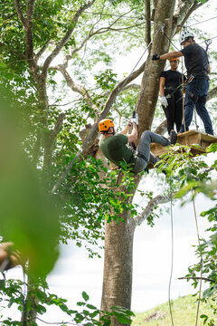 Rappelling descent in adventure course