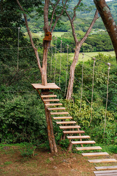 Suspension bridge in an adventure park