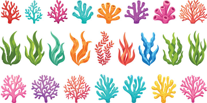 Large Collection of Colorful Underwater Coral and Seaweed Elements for Marine Biology Education Ocean Life Illustrations and Tropical Reef Aquarium Graphic Design