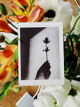 Black and white floral print in a colorful bouquet