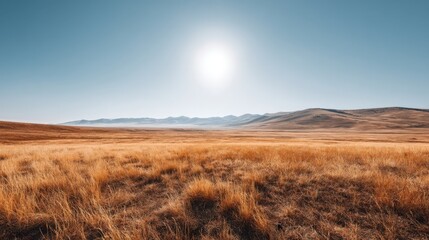 Vast Open Landscape Under Clear Blue Sky with Warm Sunlight and Rolling Hills in the Distance During the Daytime in a Scenic Natural Setting