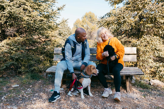 Senior couple sitting on bench in park with their dogs