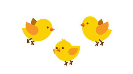Chicks d flat vector isolated white background