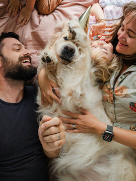 A golden retriever celebrates his birthday with his family