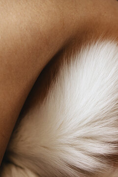Close up photo of woman's skin texture of hip with cat's white tail