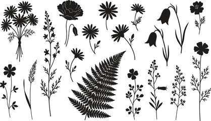 Set of black wild flower silhouettes and fern leaf isolated on white background, cad drawing flat vector illustration of meadow plants for design © Bidhanchandra