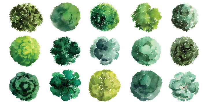 Watercolor set of top view green trees bush  landscape plan architectural maps environmental isolated on transparent background