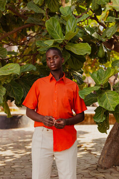 Portrait of young black man posing and looking into camera