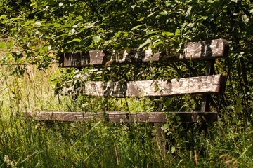 Stara ławka zarośnięta na szlaku górskim © © Jakacki