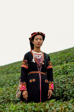 Tea Picker with a Serene Expression